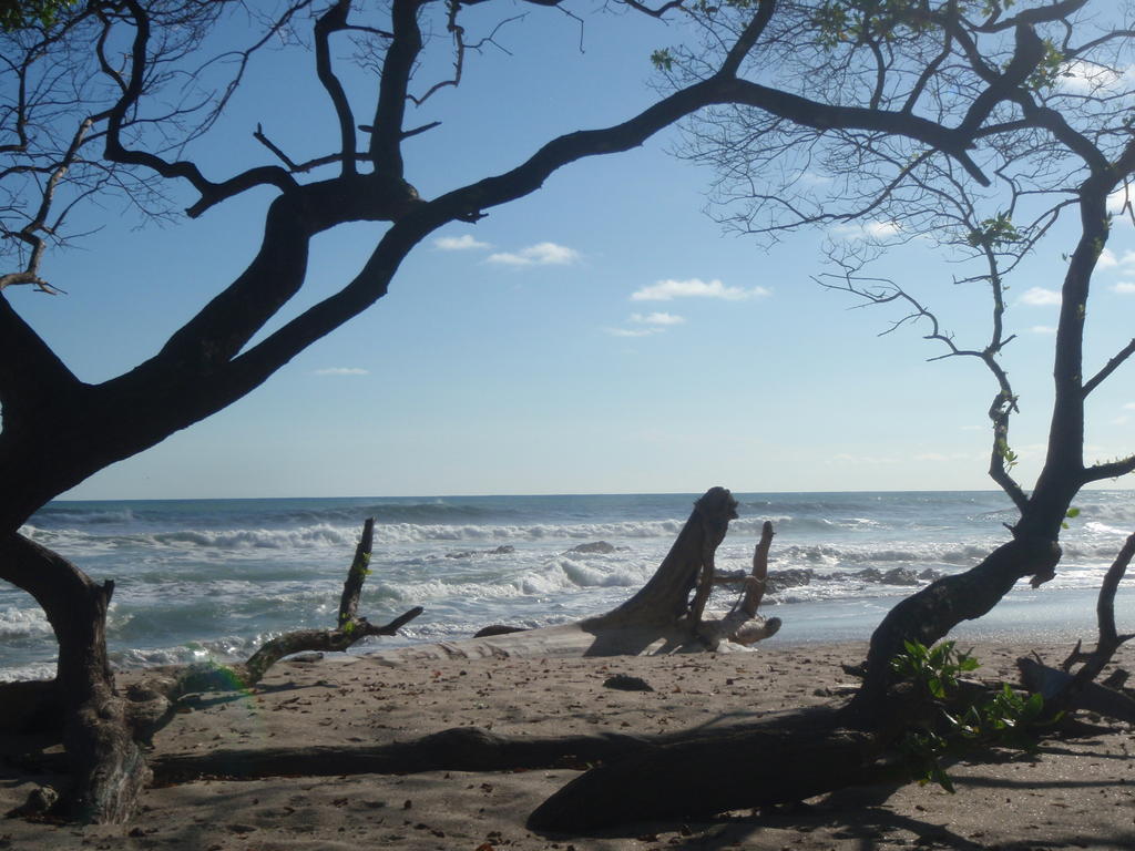 Pachamama Tropical Garden Lodge 马尔帕伊斯 外观 照片