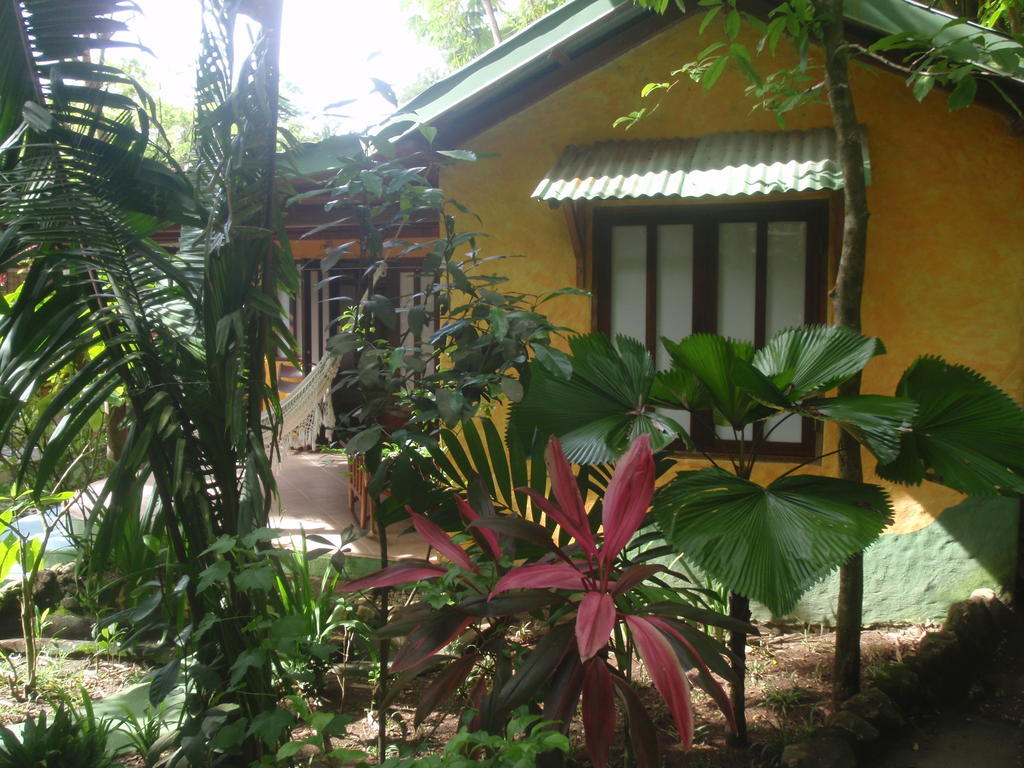 Pachamama Tropical Garden Lodge 马尔帕伊斯 客房 照片
