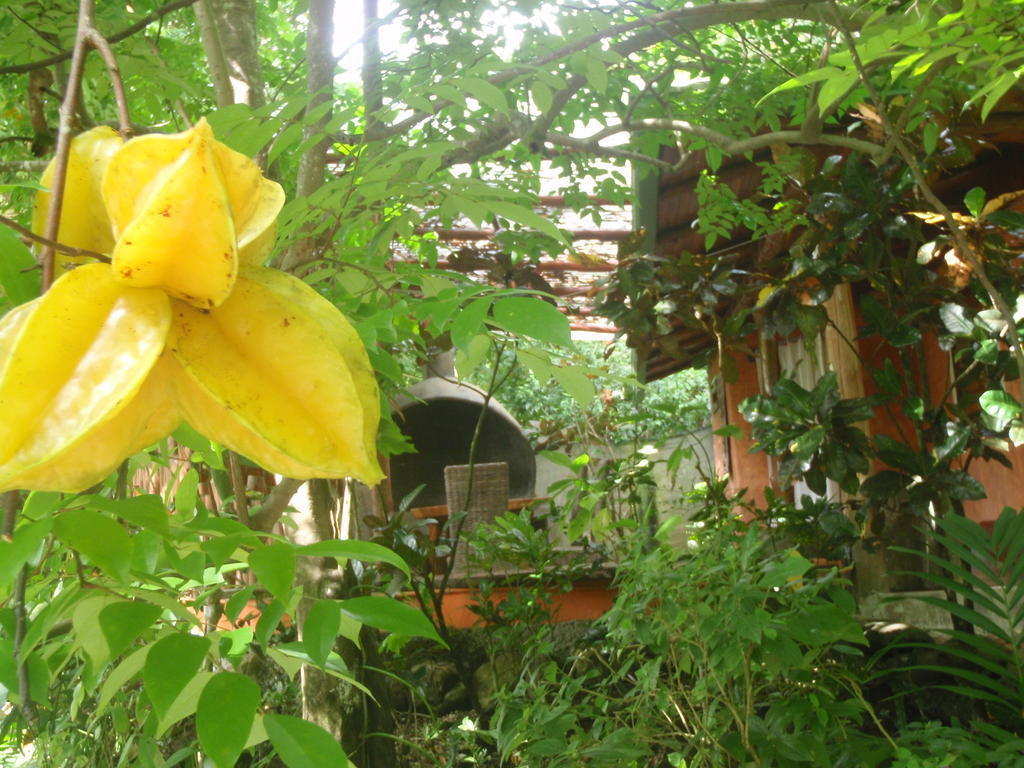 Pachamama Tropical Garden Lodge 马尔帕伊斯 外观 照片