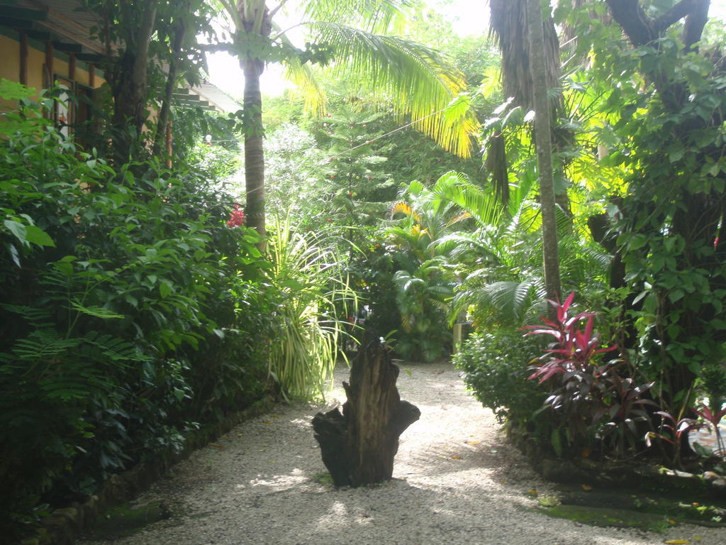 Pachamama Tropical Garden Lodge 马尔帕伊斯 外观 照片