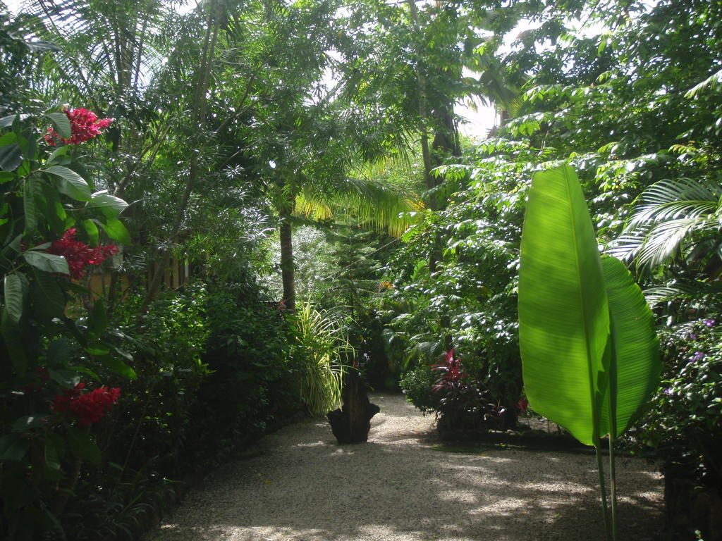 Pachamama Tropical Garden Lodge 马尔帕伊斯 外观 照片