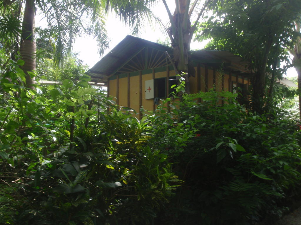 Pachamama Tropical Garden Lodge 马尔帕伊斯 客房 照片