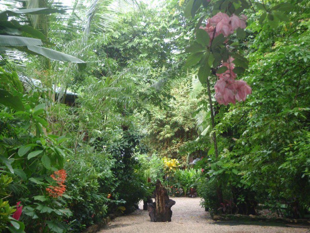 Pachamama Tropical Garden Lodge 马尔帕伊斯 外观 照片