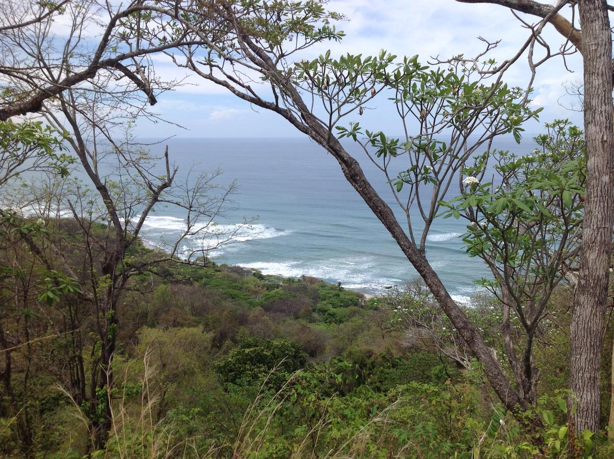 Pachamama Tropical Garden Lodge 马尔帕伊斯 外观 照片